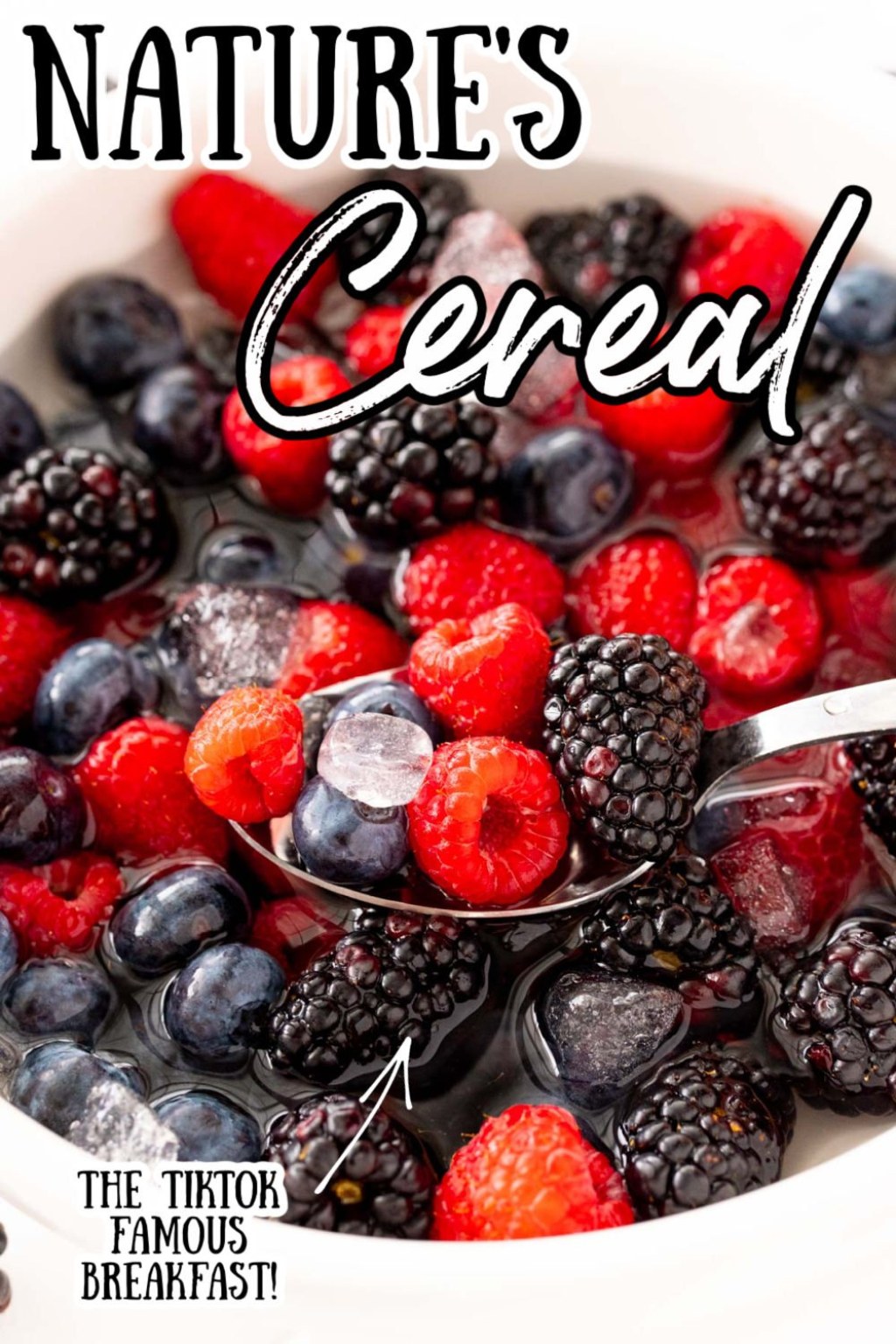 Picture of: Nature’s Cereal Recipe (All Berries) – Sugar and Soul