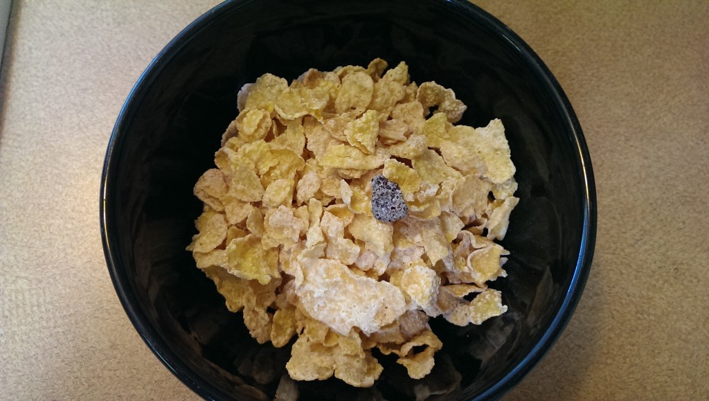 Picture of: So I found a black frosted flake in my cereal this morning : r